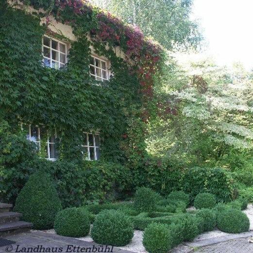Landhaus Ettenbuehl Bed And Breakfast Bad Bellingen Exterior photo